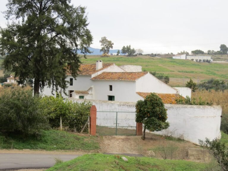Antiguo molino de aceite con finca de 7 hectáreas en Pizarra